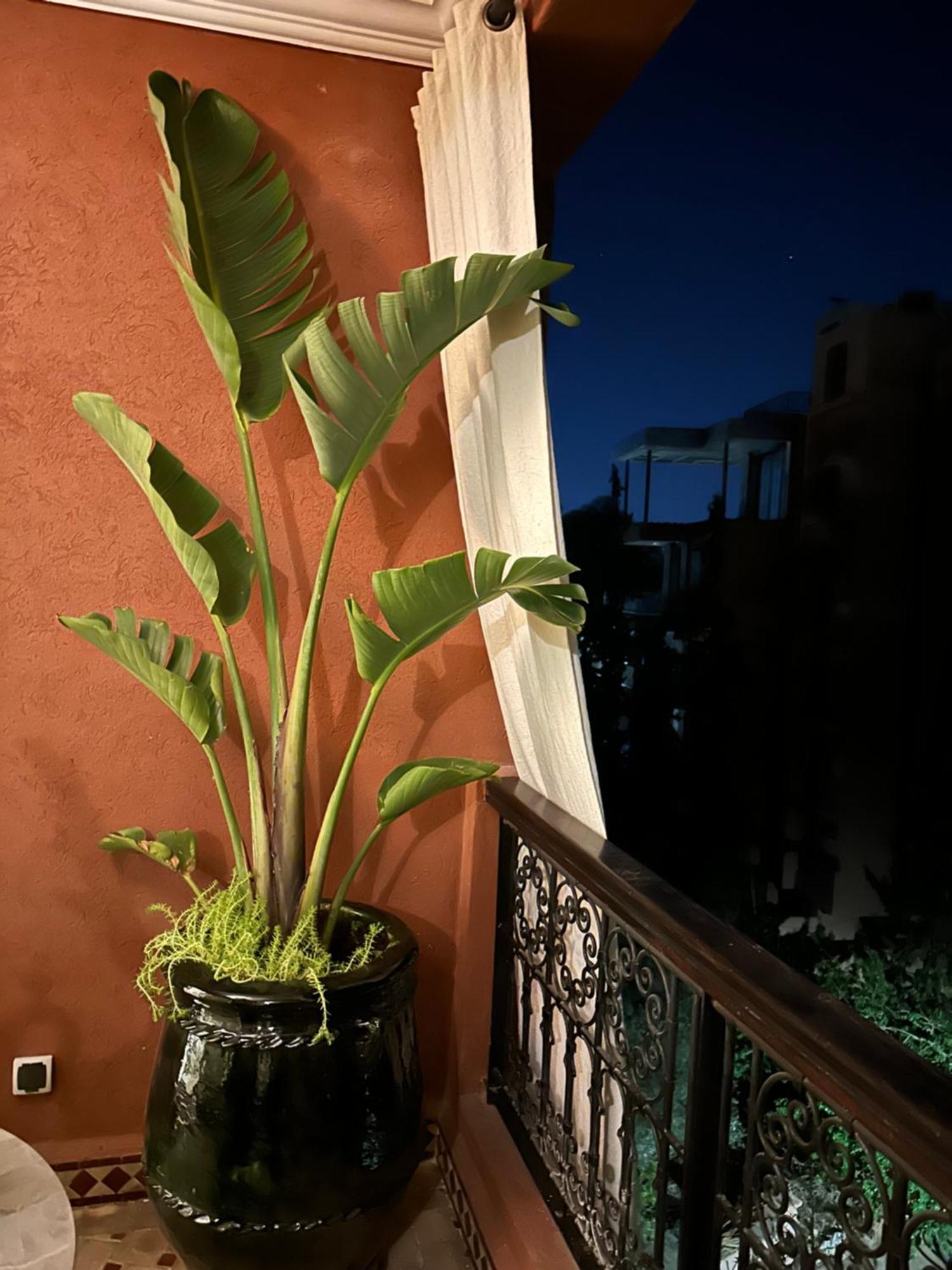 Apartamento Prestige 2br Marrakesh