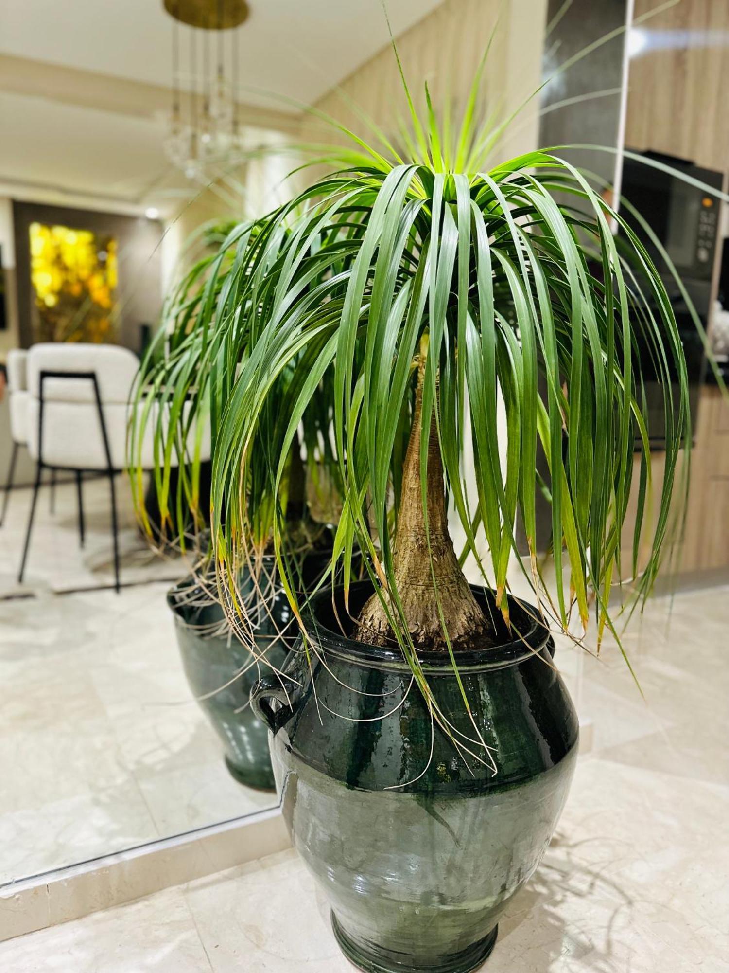 Apartment Prestige 2br Marrakesch